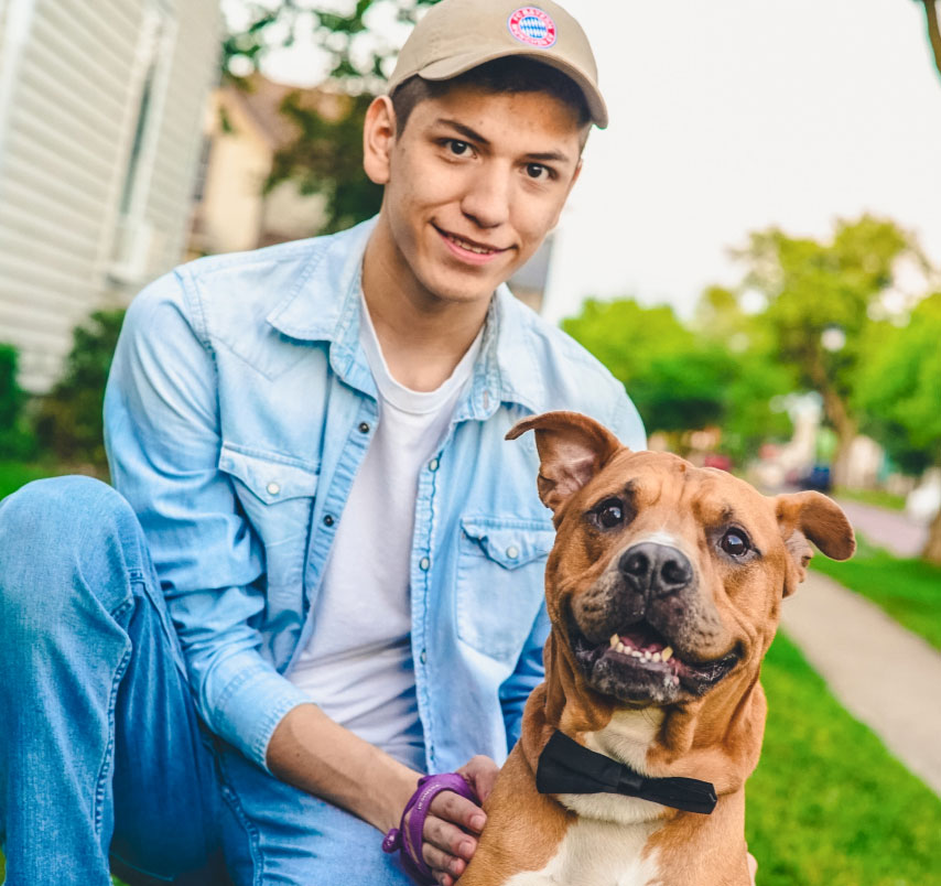 benefits-of-an-electric-dog-fence-in-missoula-mt-rocky-mt-pet-fences